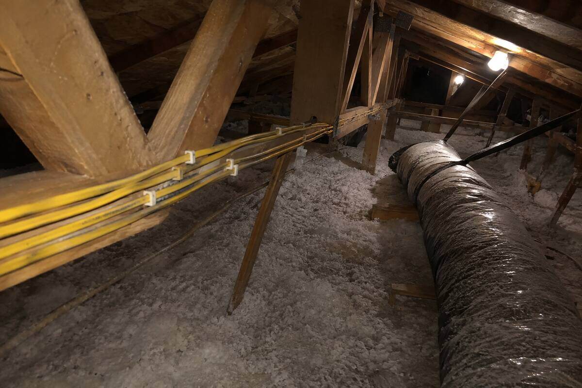 Cable runs stapled across attic framing above blown-in insulation